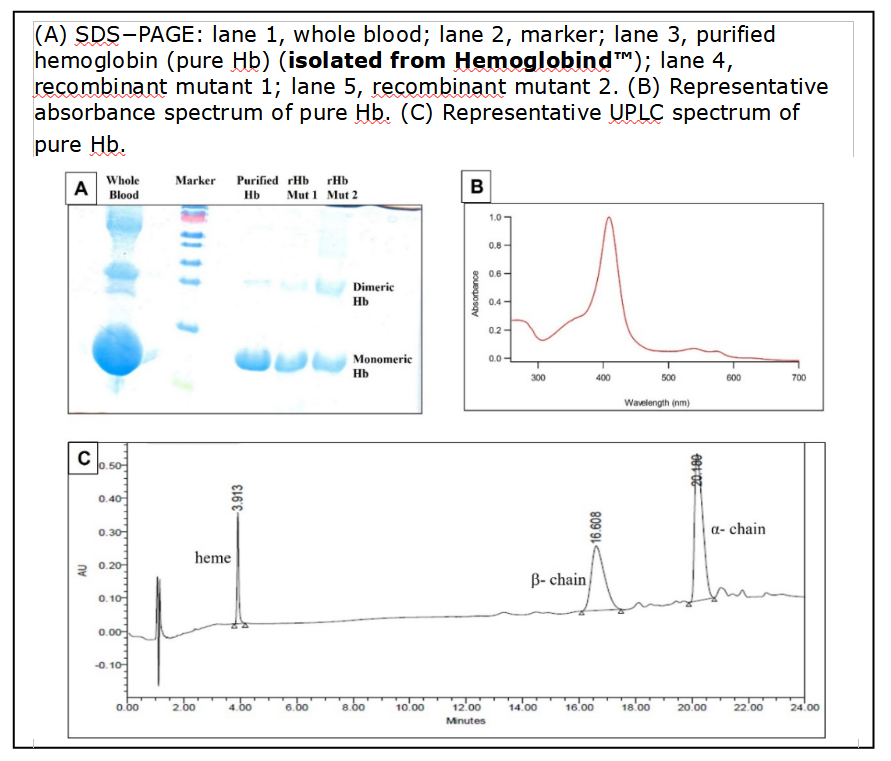 HemogloBind™ Employed In A Nano LC−MALDI MS/MS Method for Identifying Single Mutation Hemoglobin Variants